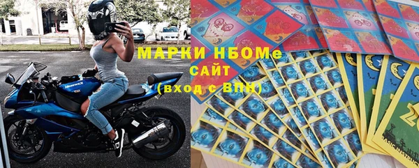 стаф Нея
