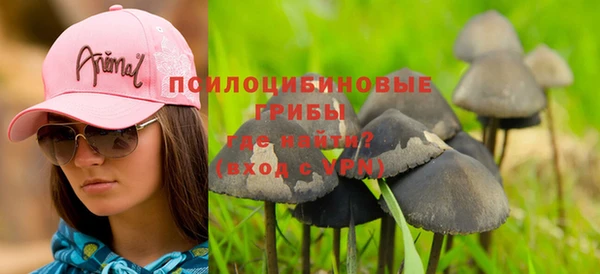 стаф Нея