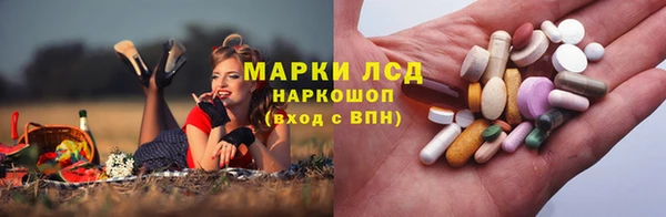 стаф Нея
