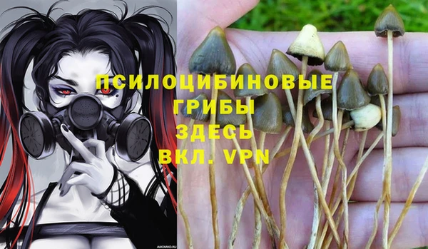 тгк Надым