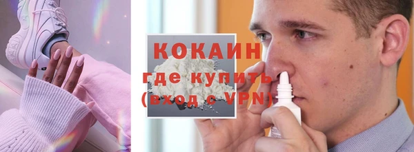 стаф Нея