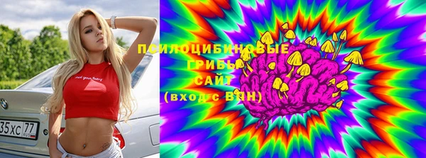 эйфоретик Нефтекумск