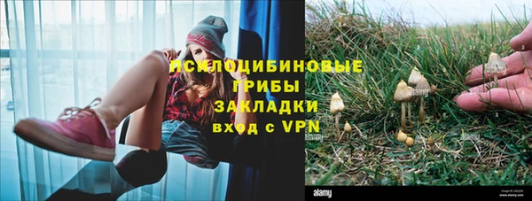 стаф Нея