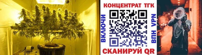 MEGA tor  Нижняя Тура  ТГК Wax  сколько стоит 