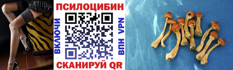 MEGA ONION  Нижняя Тура  Псилоцибиновые грибы Psilocybe 