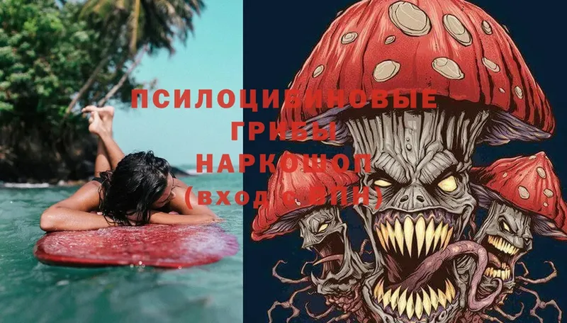 Псилоцибиновые грибы мицелий Нижняя Тура